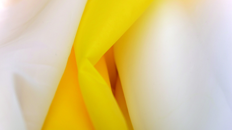 HiBond Plus Mesh